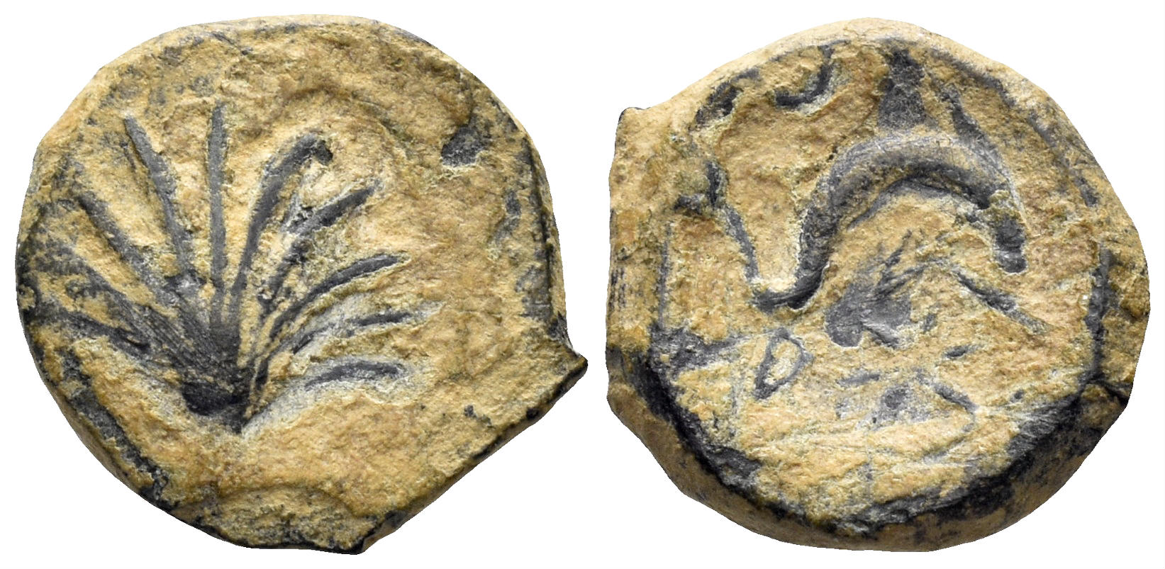 Spain, Arse-Saguntum. Circa 200-150 BC. AE Quarter Unit (1.80g, 14mm). SNG BM Spain 1112