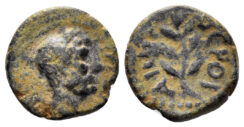 Cyrrhestica, Beroea. Hadrian. 117-138 AD. AE Chalkous (1.51 gm, 13mm). RPC III 3436