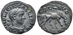 Troas, Alexandreia. Gallienus. 253-268 AD. AE As (4.00g, 22mm). Struck 253-260 AD. Bellinger A451