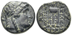 Seleukid Kingdom. Antiochos II Theos, 261-246 BC. AE 15mm (4.17g), Antioch mint. SC 525