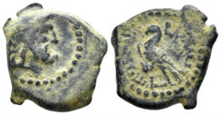 Ptolemaic Kingdom. Ptolemy III Euergetes. 246-222 BC. AE Dichalkon (1.87g, 14mm). Paphos mint. Svoronos 843