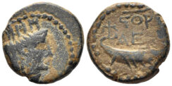 Judaea, Askalon. 1st century AD. AE 15mm (3.66g). CY 176 (72/3 AD). RPC II 2204