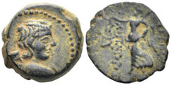 Seleukid Kingdom. Antiochos IX Eusebes Philopator (Kyzikenos). 114/3-95 BC. AE 19mm (6.10g). SC 2388.6-9