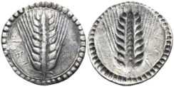 Southern Lucania, Metapontum. Circa 540-510 BC. AR Stater (6.02g, 28mm). Noe 25-26