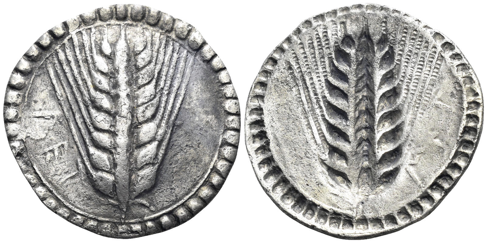 Southern Lucania, Metapontum. Circa 540-510 BC. AR Stater (6.02g, 28mm). Noe 25-26
